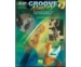 MI GROOVE MASTERY BASSIST'S GUIDE / JAMES +CD